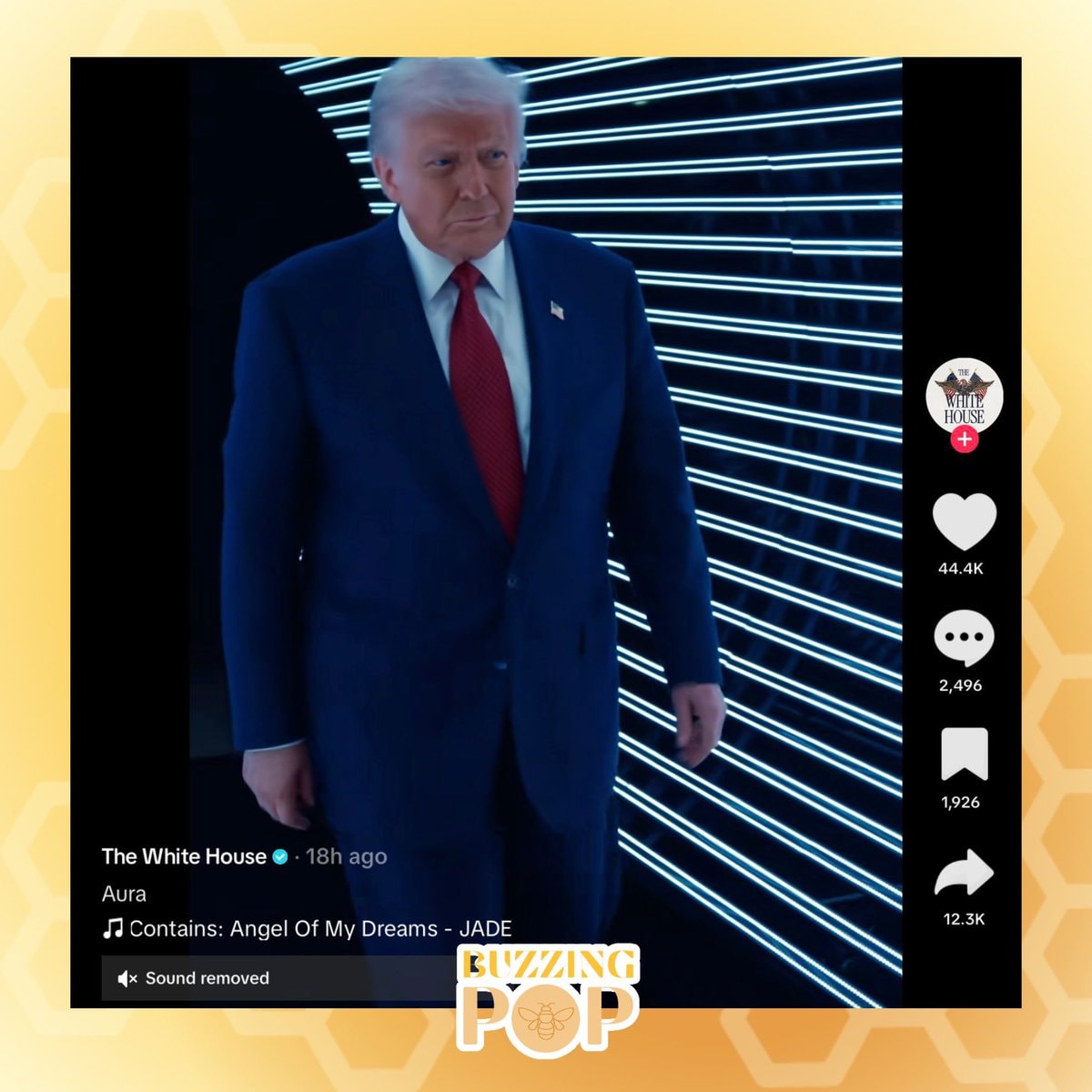 JADE Angel of My Dreams White House TikTok (photo 2 of 2)