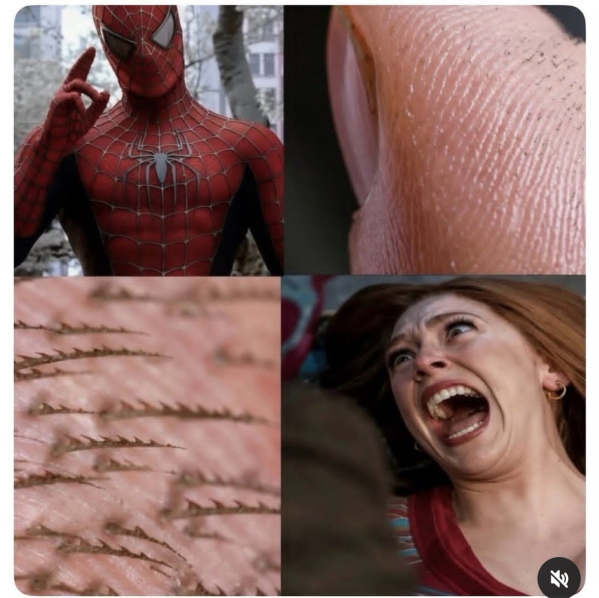 Spider-Man romantic rejection meme