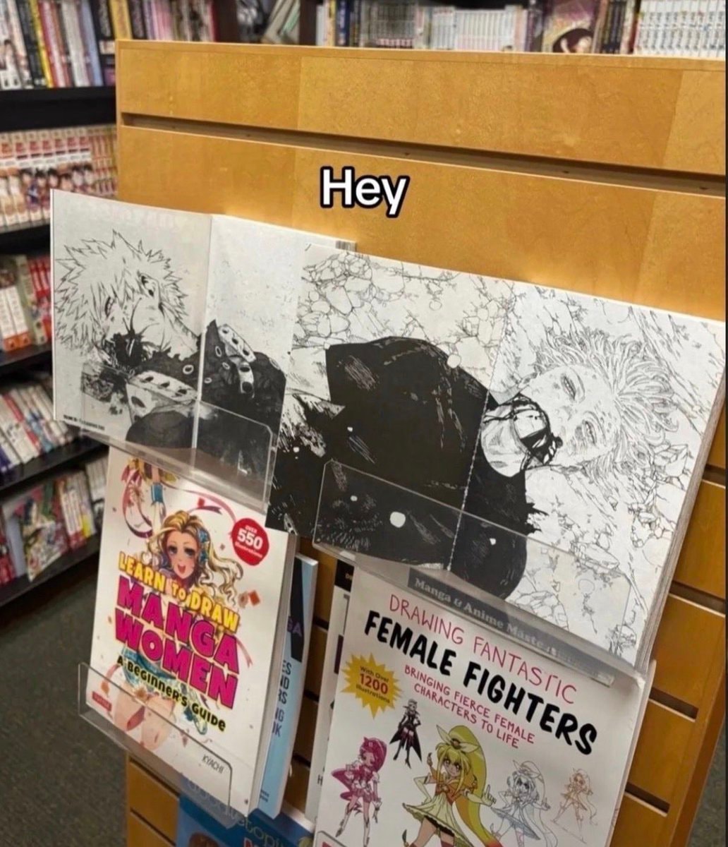 manga and art books display