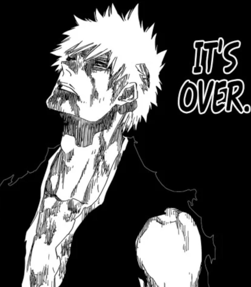 Chopper crying One Piece (photo 2 of 2)