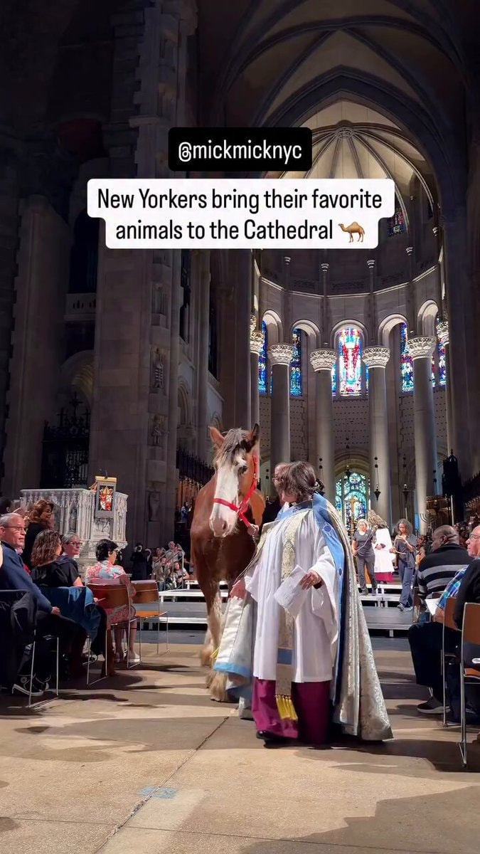 St. Francis of Assisi feast day animal blessing