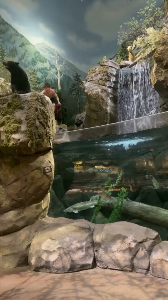 man and taxidermy bear diorama
