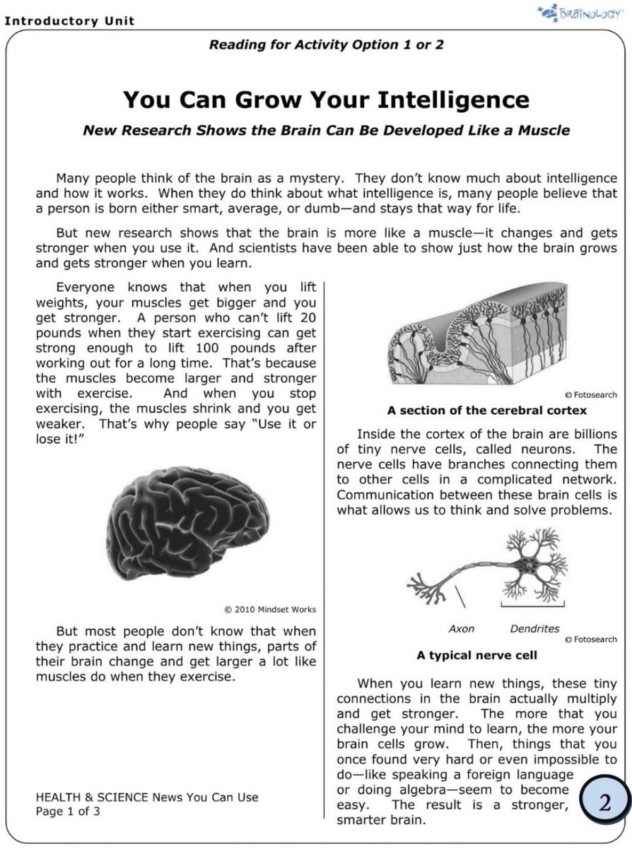 neuroplasticity brain education