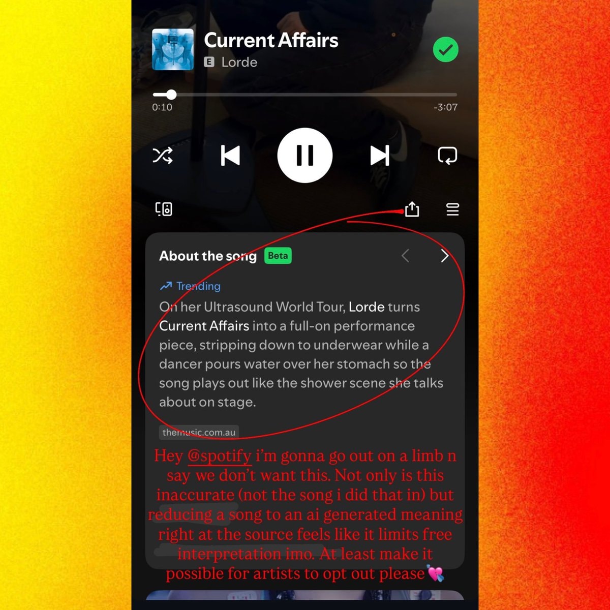 Lorde calls out Spotify (photo 2 of 2)
