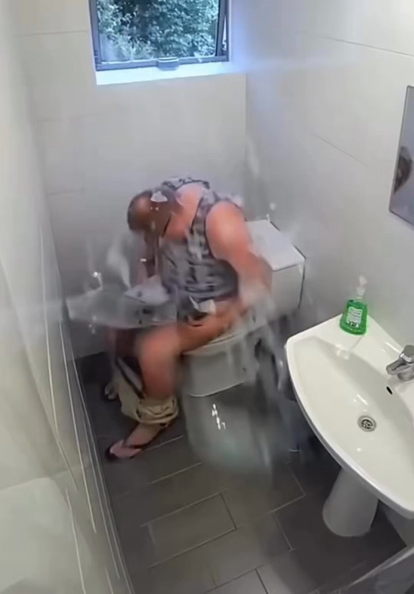 toilet mishap