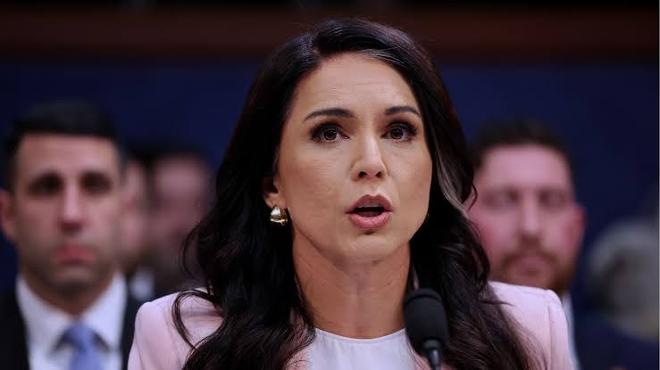 Tulsi Gabbard releasing list of U.S.-funded labs in Ukraine