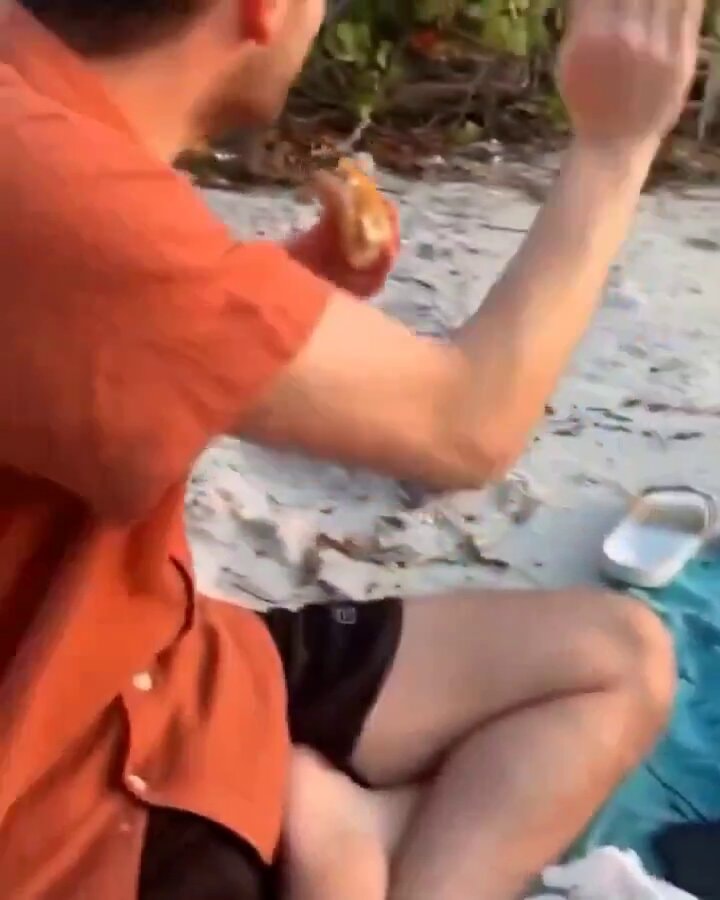 Crab waving hi on the beach