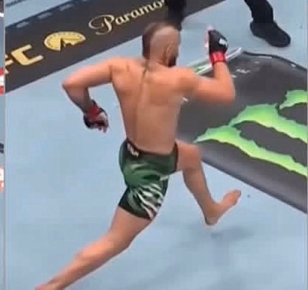 fighter in ring fighter in ring