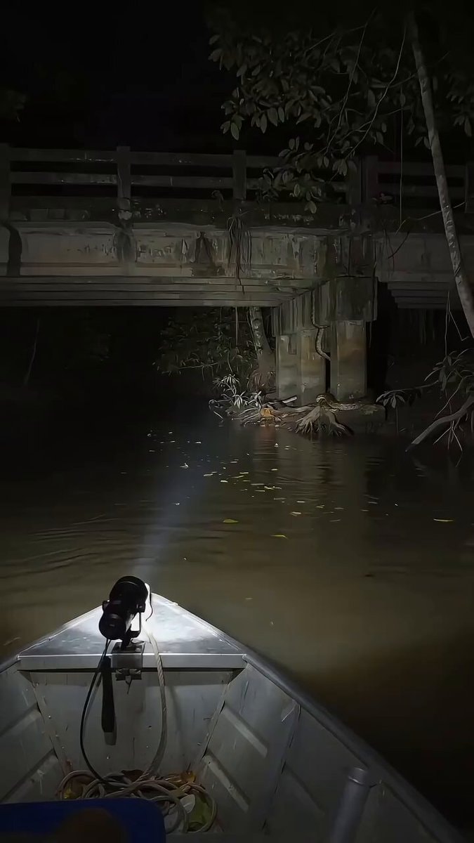 Nighttime boat exploration