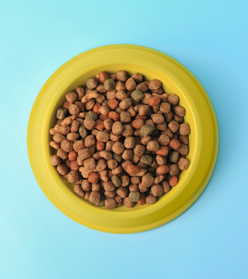 Cat food lead contamination study