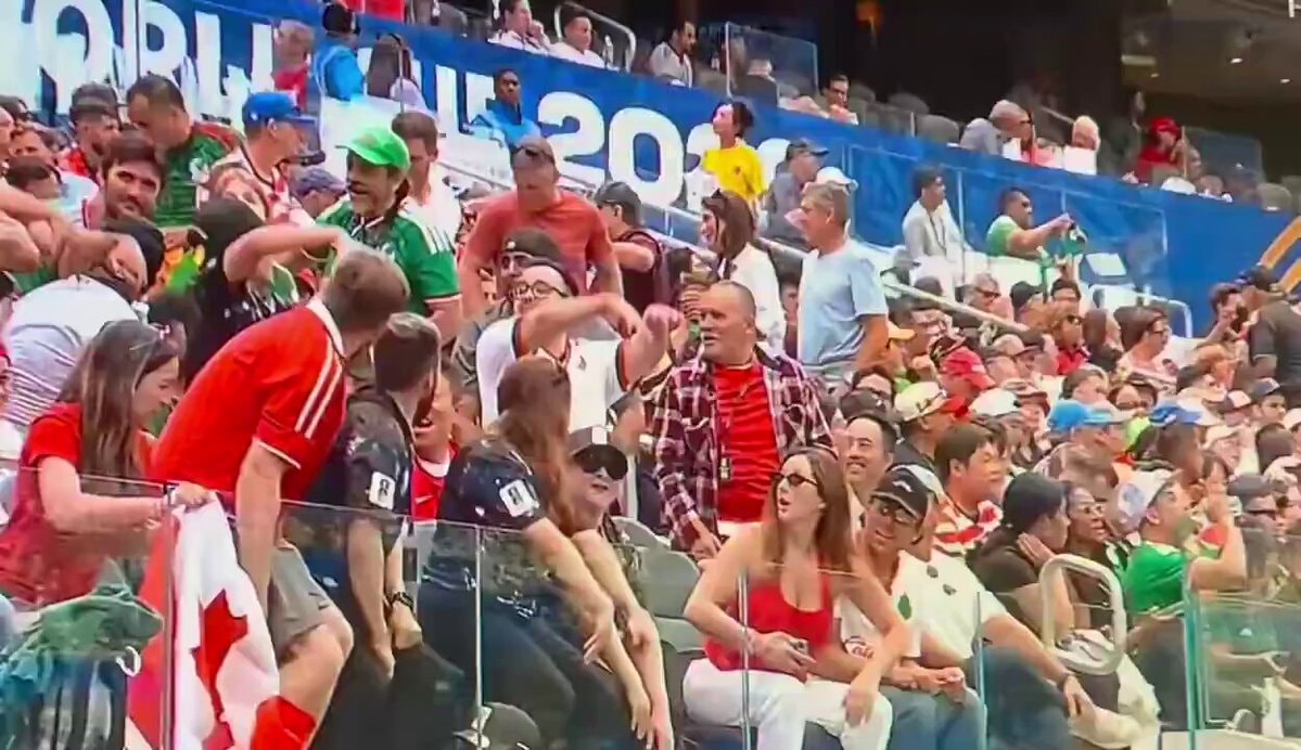 Woman drops phone at 2026 World Cup