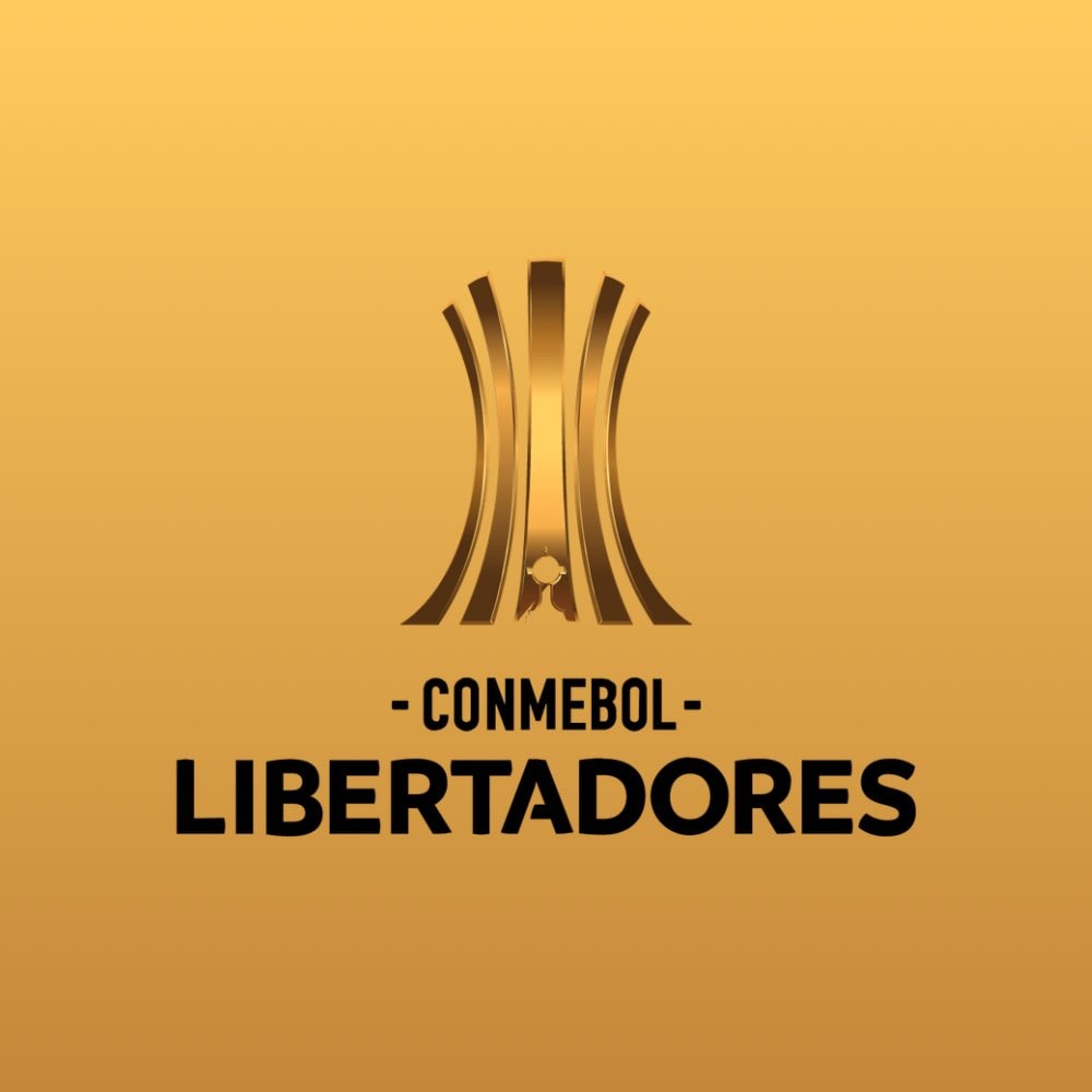 Grupo Globo acquires Libertadores rights (photo 2 of 2)