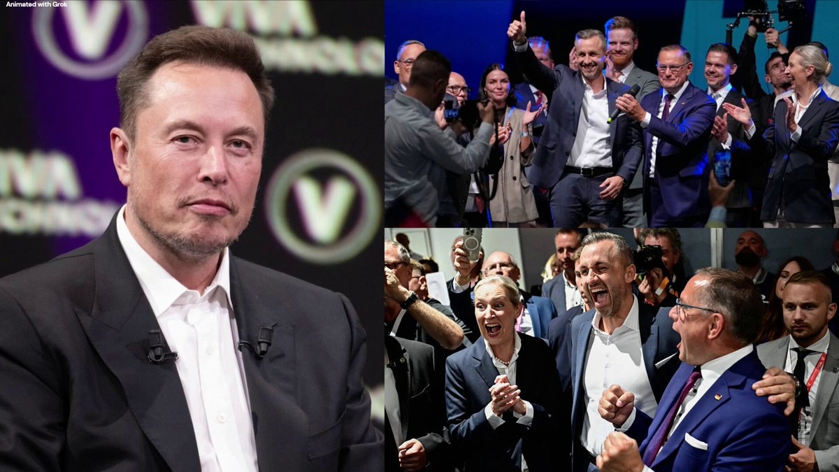 Elon Musk congratulates AfD party