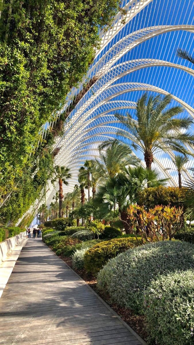 Valencia Spain (photo 4 of 4)