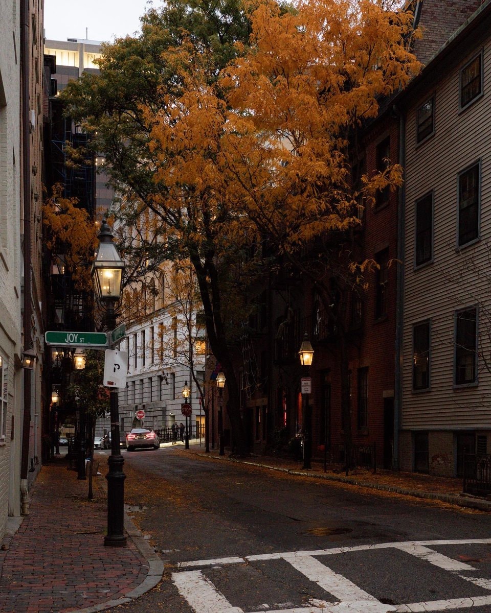 Autumn in Boston Autumn in Boston