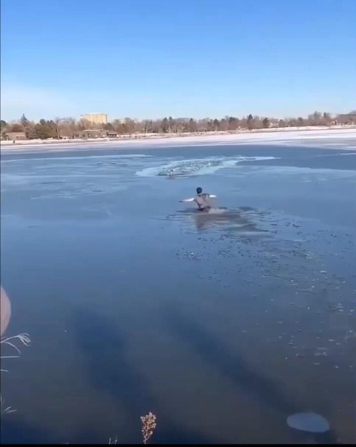 man rescues stranger's dog from frozen lake