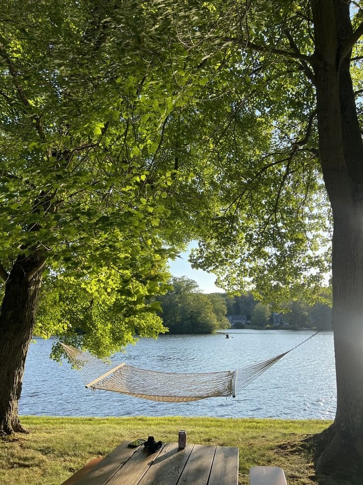 Serene lakeside tree picnic spot (photo 2 of 4)