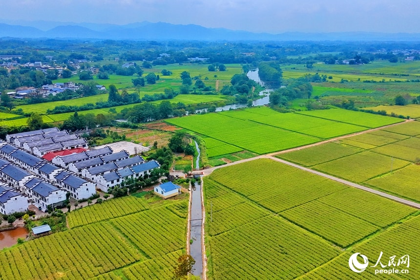 Gaoxuan Village Hakka homes (photo 3 of 4)