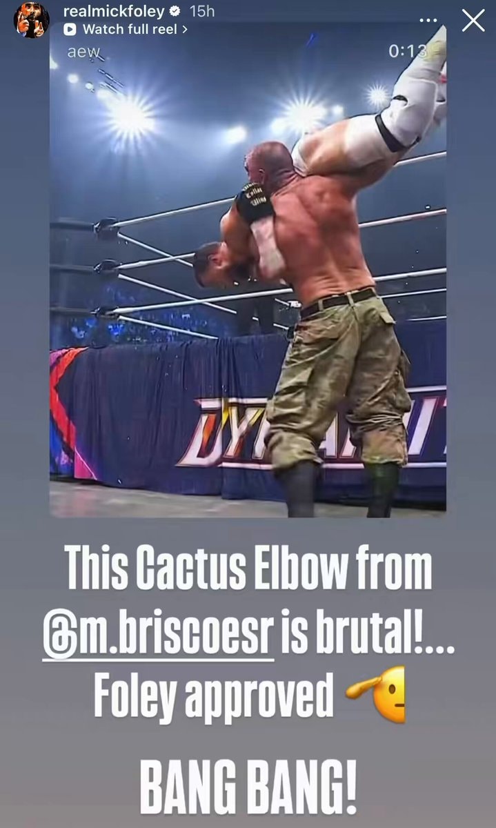 Mark Briscoe Cactus Elbow Mick Foley approves