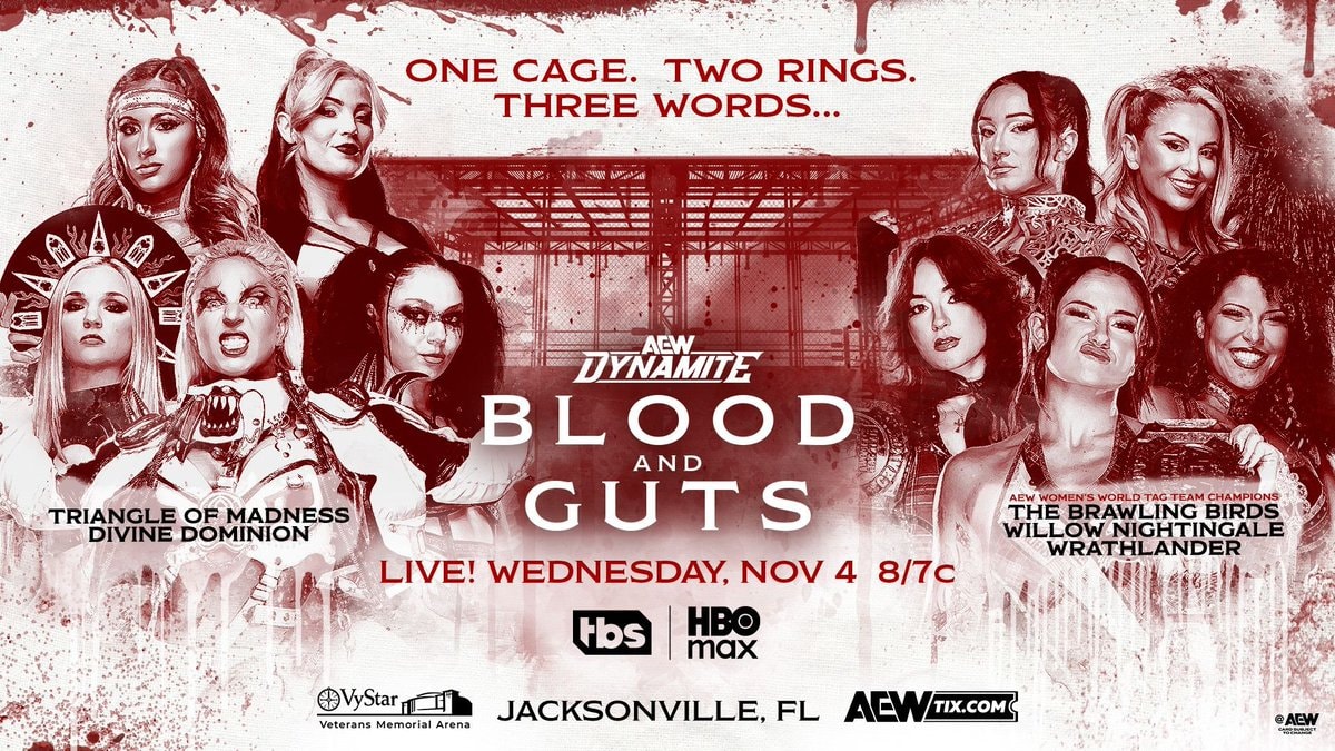 AEW Blood and Guts women's match official