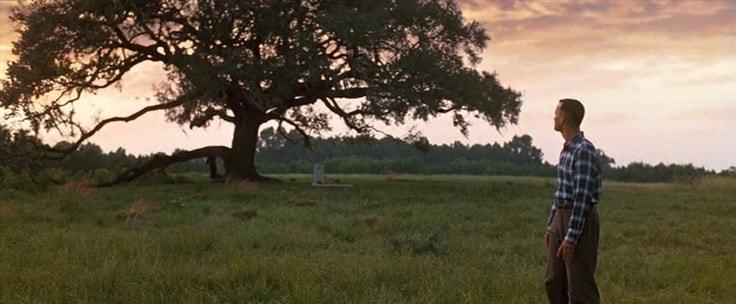 Forrest Gump 32nd anniversary (photo 2 of 4)