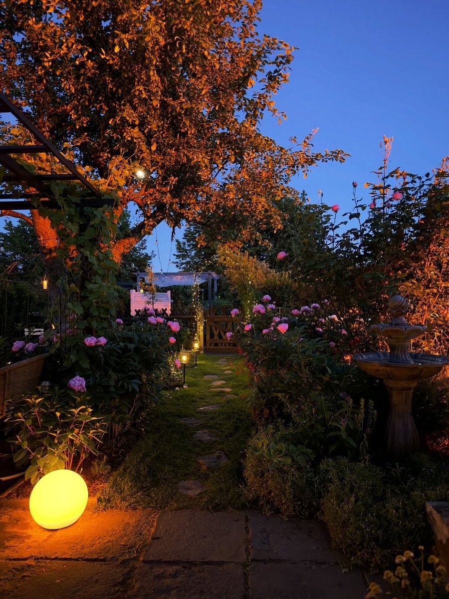 Fairy tale garden with string lights and hydrangeas (photo 3 of 4)