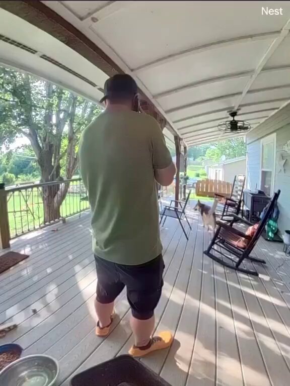 squirrel attack mid call