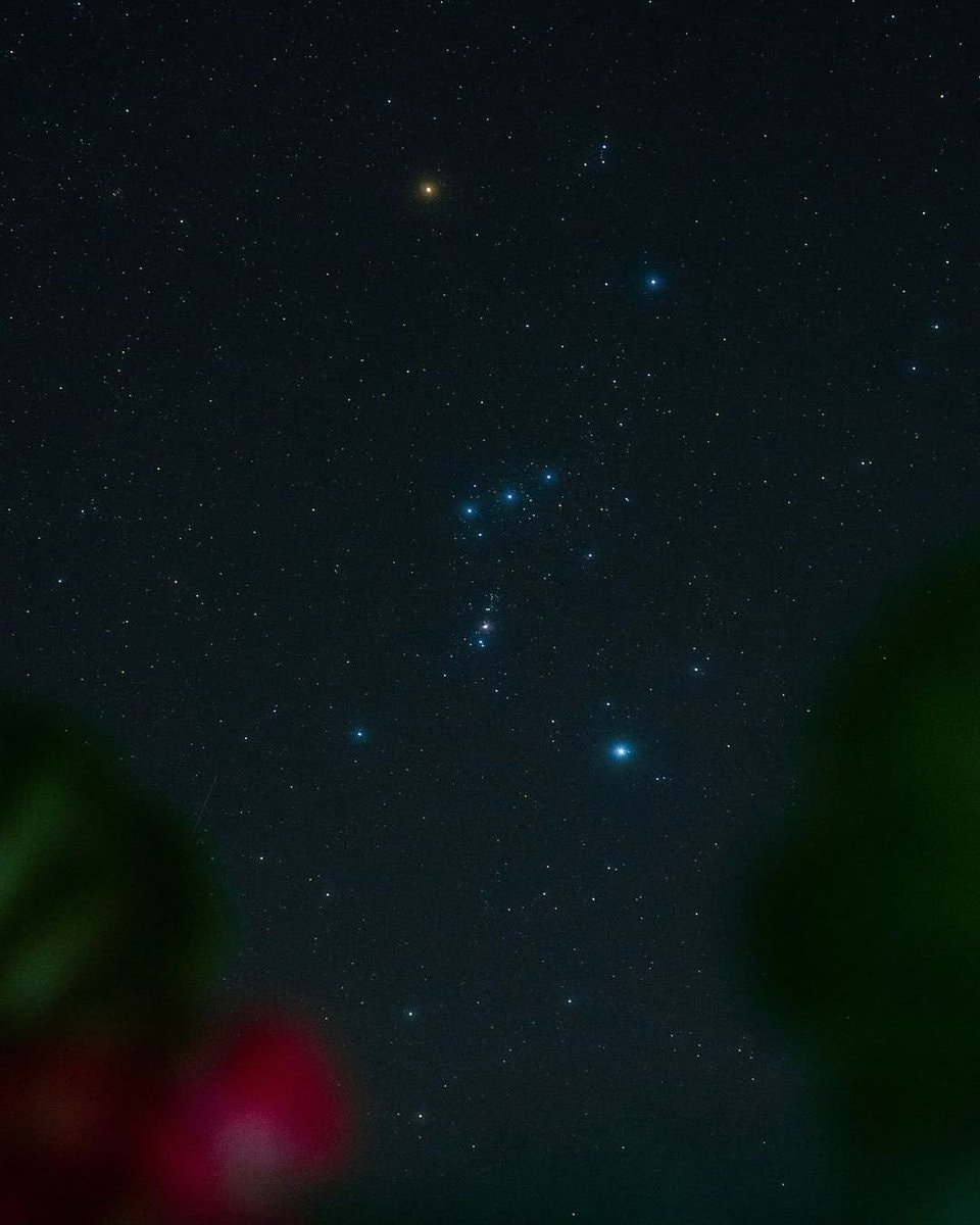 Orion in the night sky