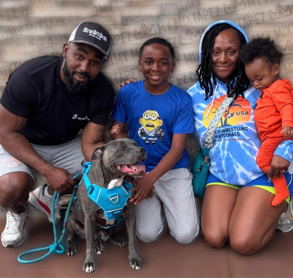 Family reunited with missing pit bull