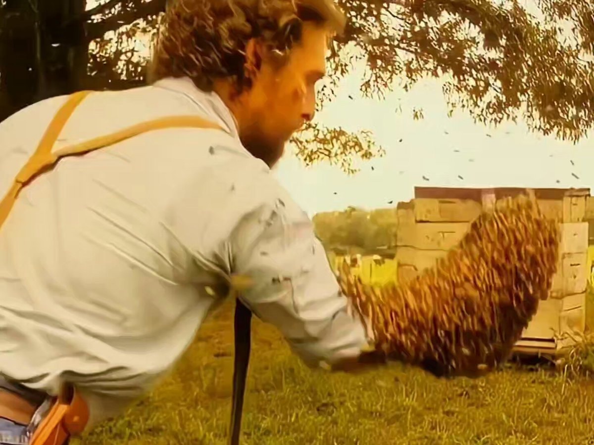 Matthew McConaughey The Rivals of Amziah King bees