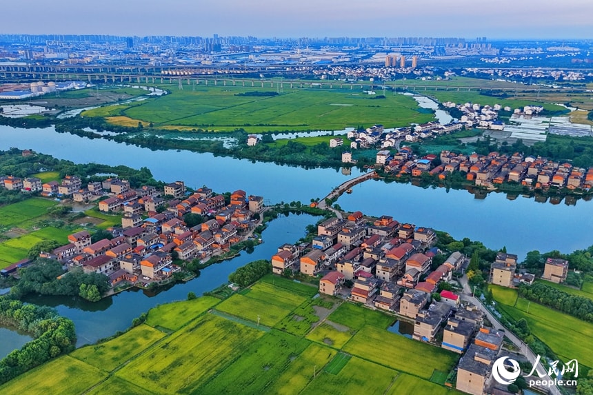 Tanshang Village rice fields (photo 2 of 4)