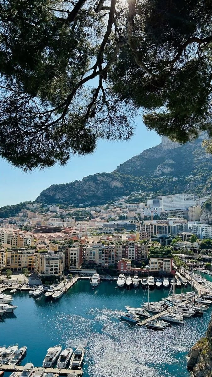 Monaco harbor yachts