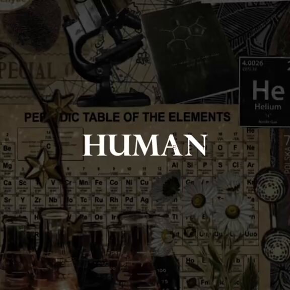 quantum entanglement human connection