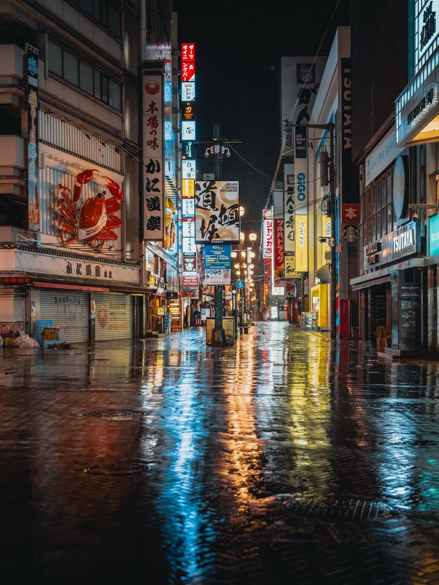 Osaka Japan cityscape night (photo 2 of 2)