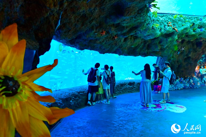 Jiangxi Tourism Nanchang underwater world (photo 2 of 3)