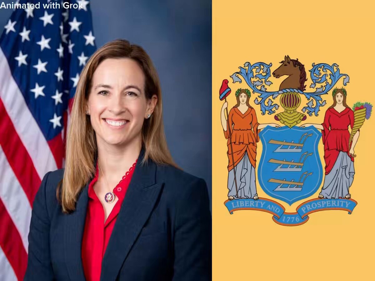 NJ noncitizen voter registration IDEMIA