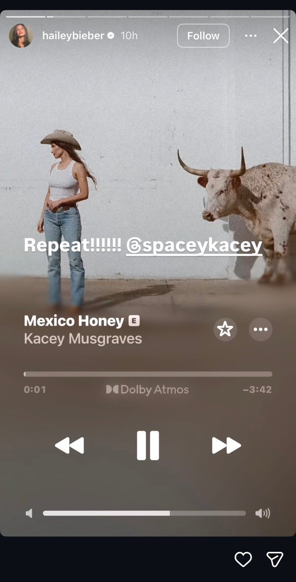 Hailey Bieber Kacey Musgraves Mexico Honey (photo 2 of 2)