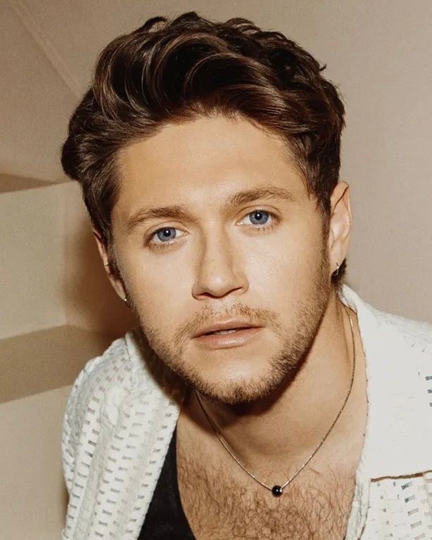 Niall Horan 33rd birthday (photo 2 of 2)
