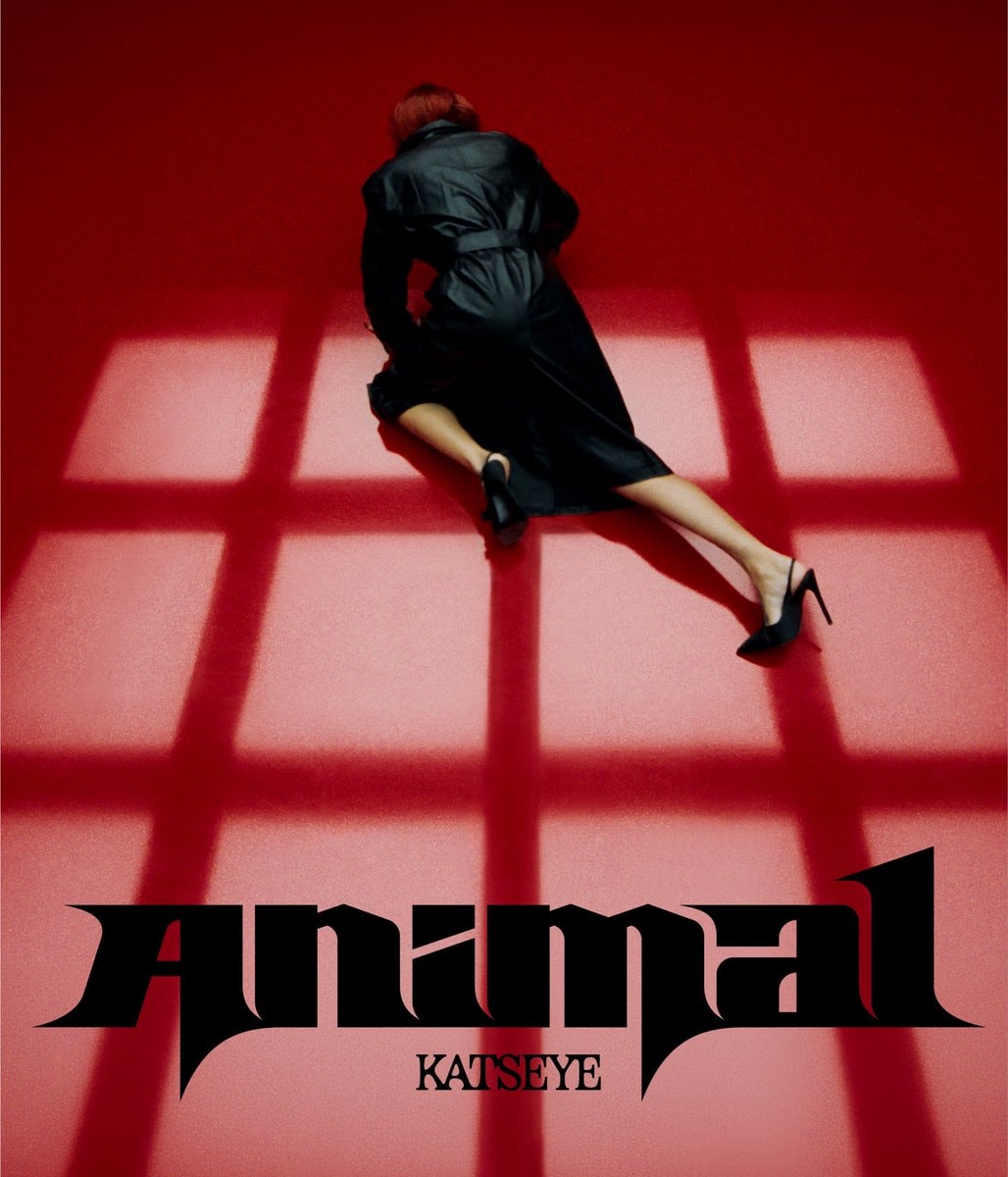 KATSEYE Animal Global Spotify debut (photo 1 of 2)