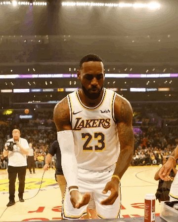 LeBron James Lakers 23 GIF
