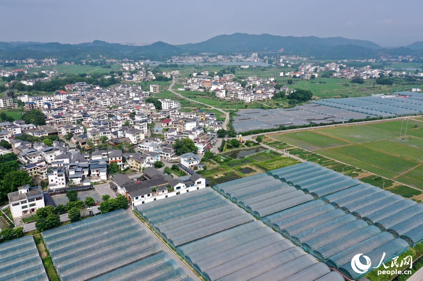 Tantou Village Greenhouses Jiangxi (photo 4 of 4)