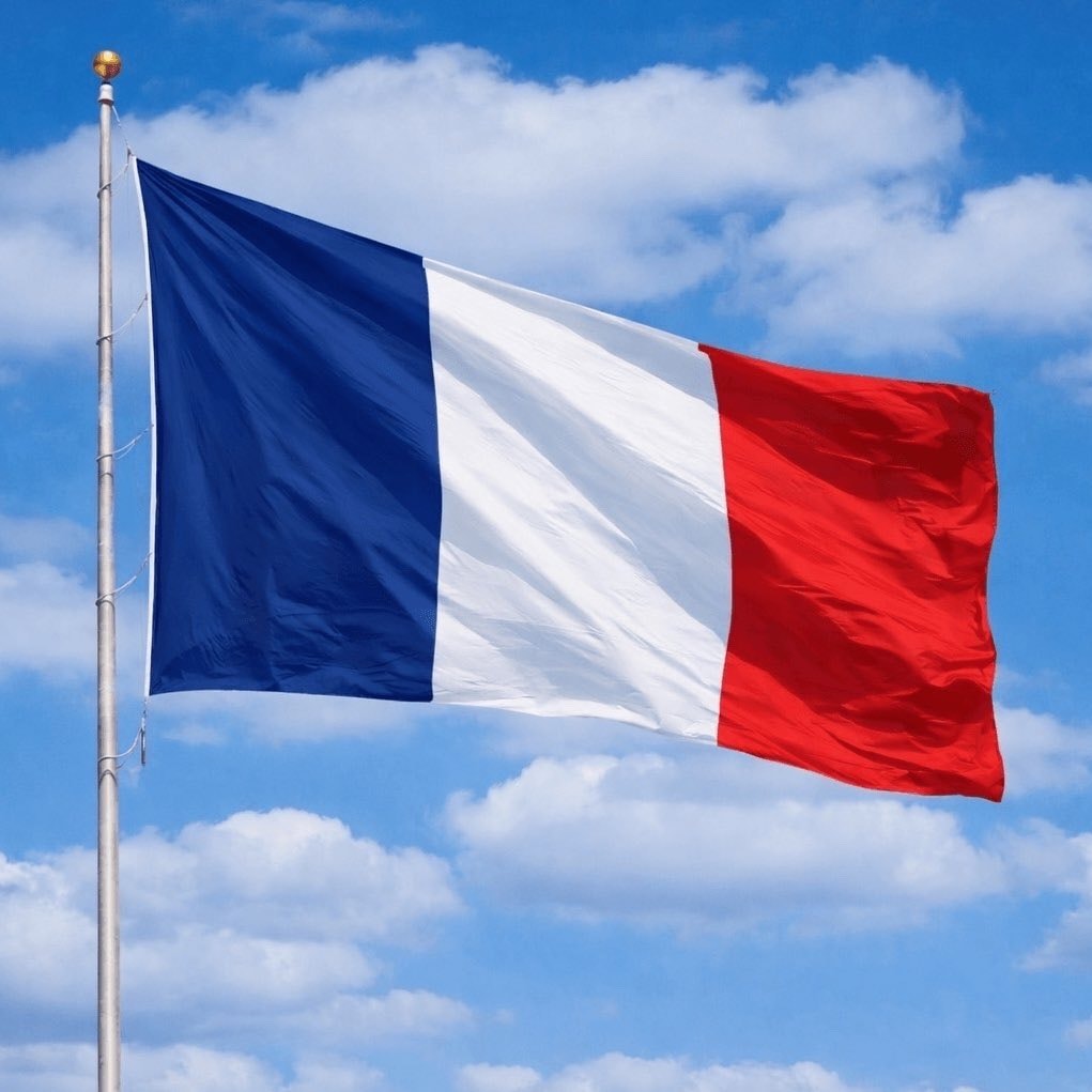 France social media ban under 15