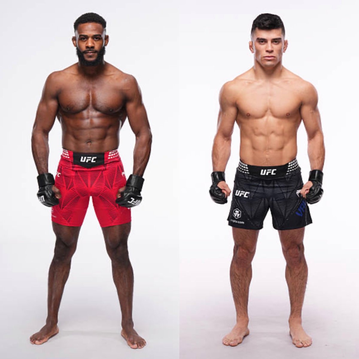 Aljamain Sterling vs Kevin Vallejos