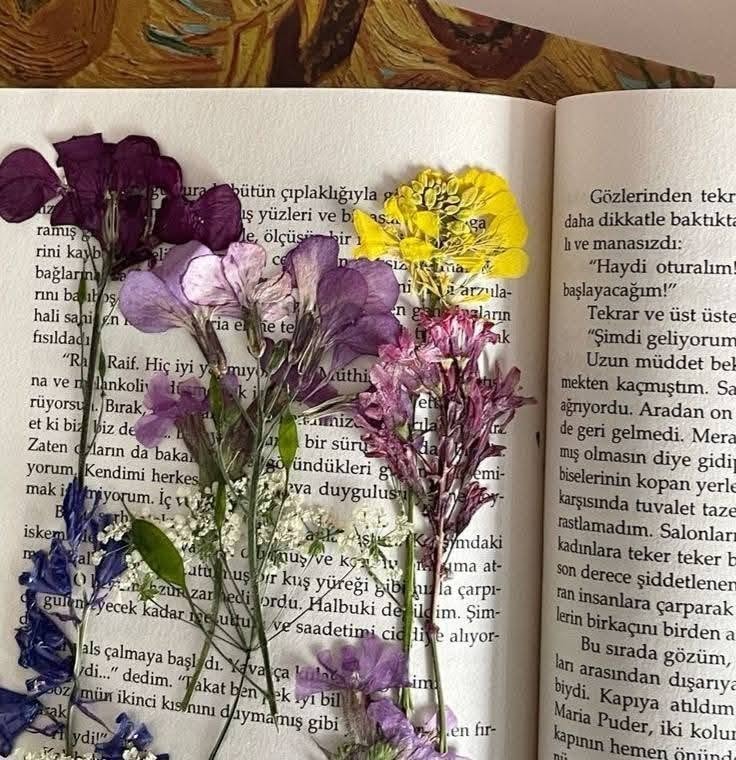 Pressed flowers on Arabic book (photo 3 of 4)