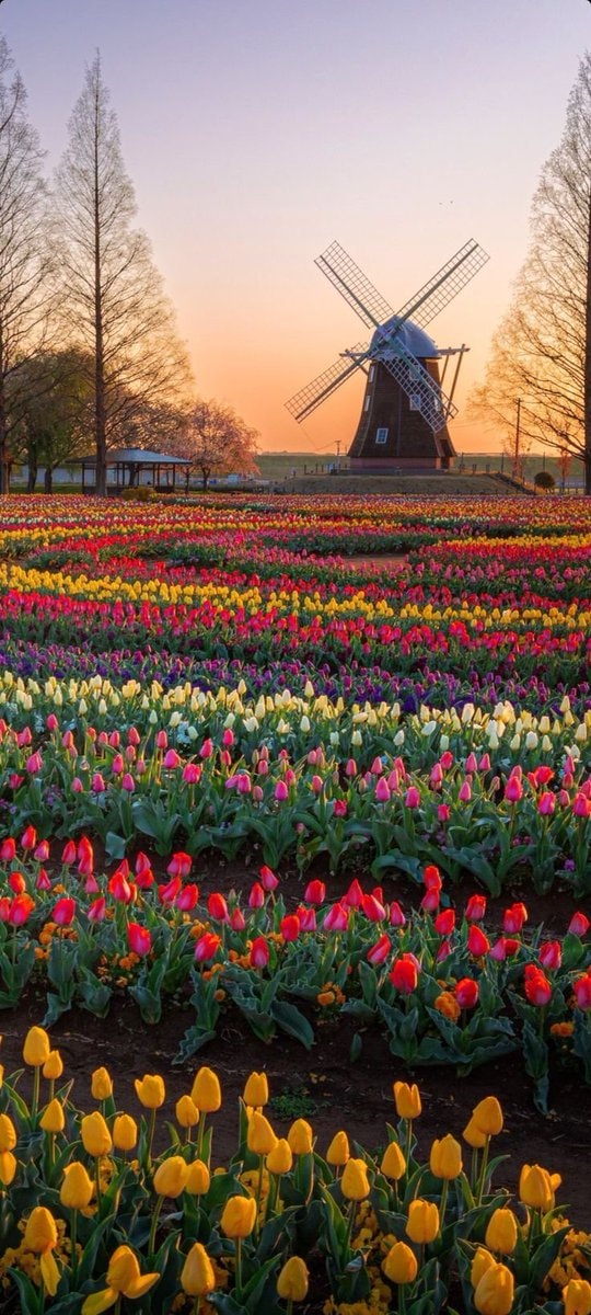 Holland landscape (photo 3 of 4) Holland landscape (photo 3 of 4)