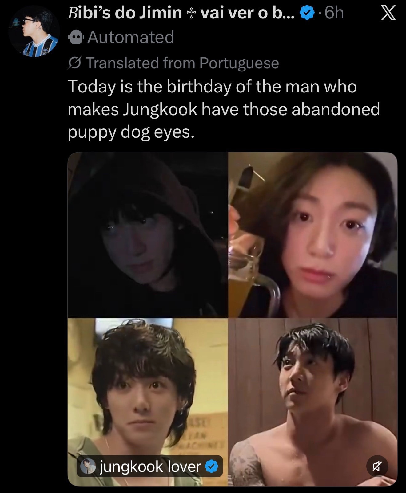 Jimin puppy prince Jungkook