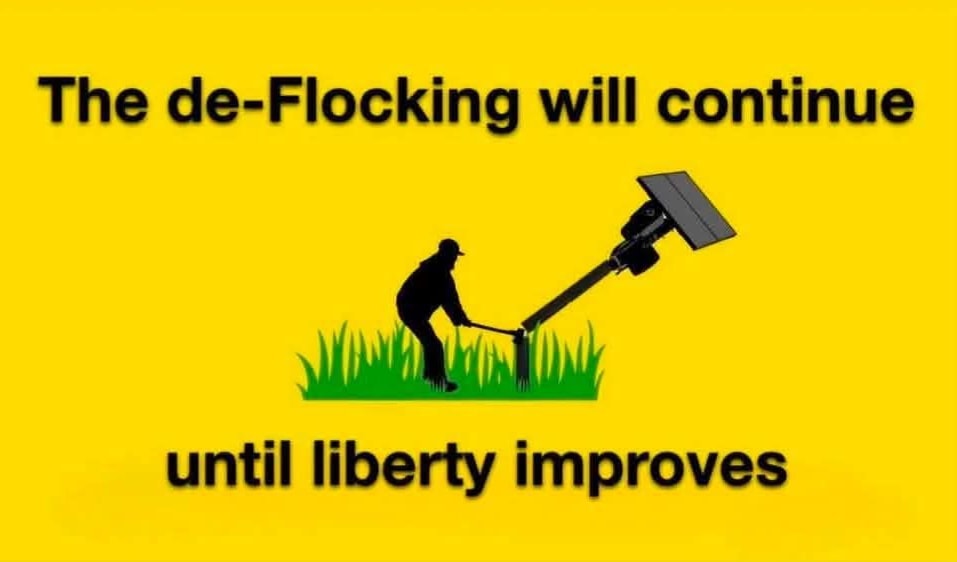 De-Flocking meme