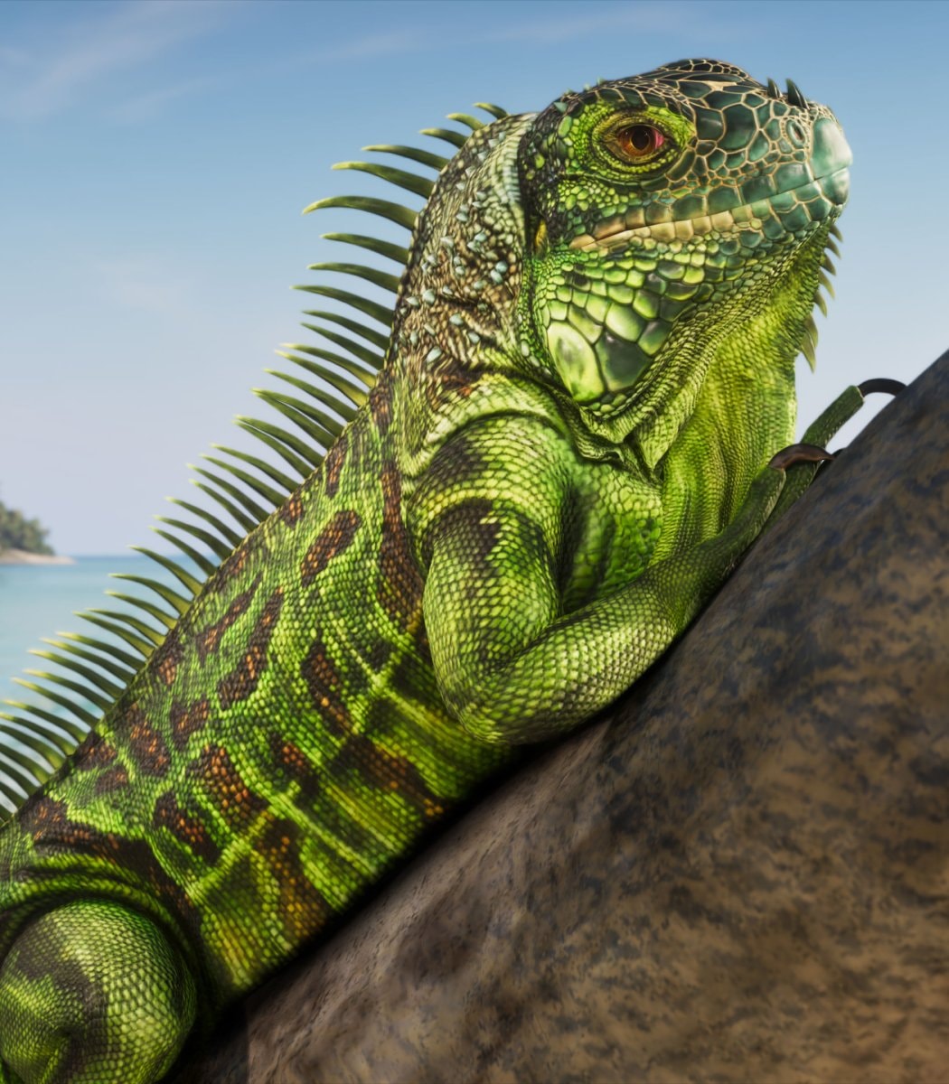 GTA 6 animals confirmed (photo 3 of 4) GTA 6 animals confirmed (photo 3 of 4)