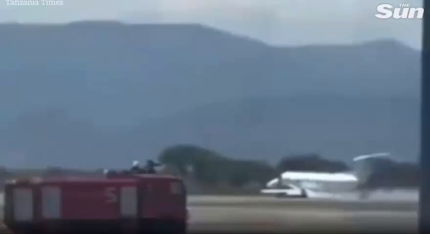 Tanzania plane zebra collision