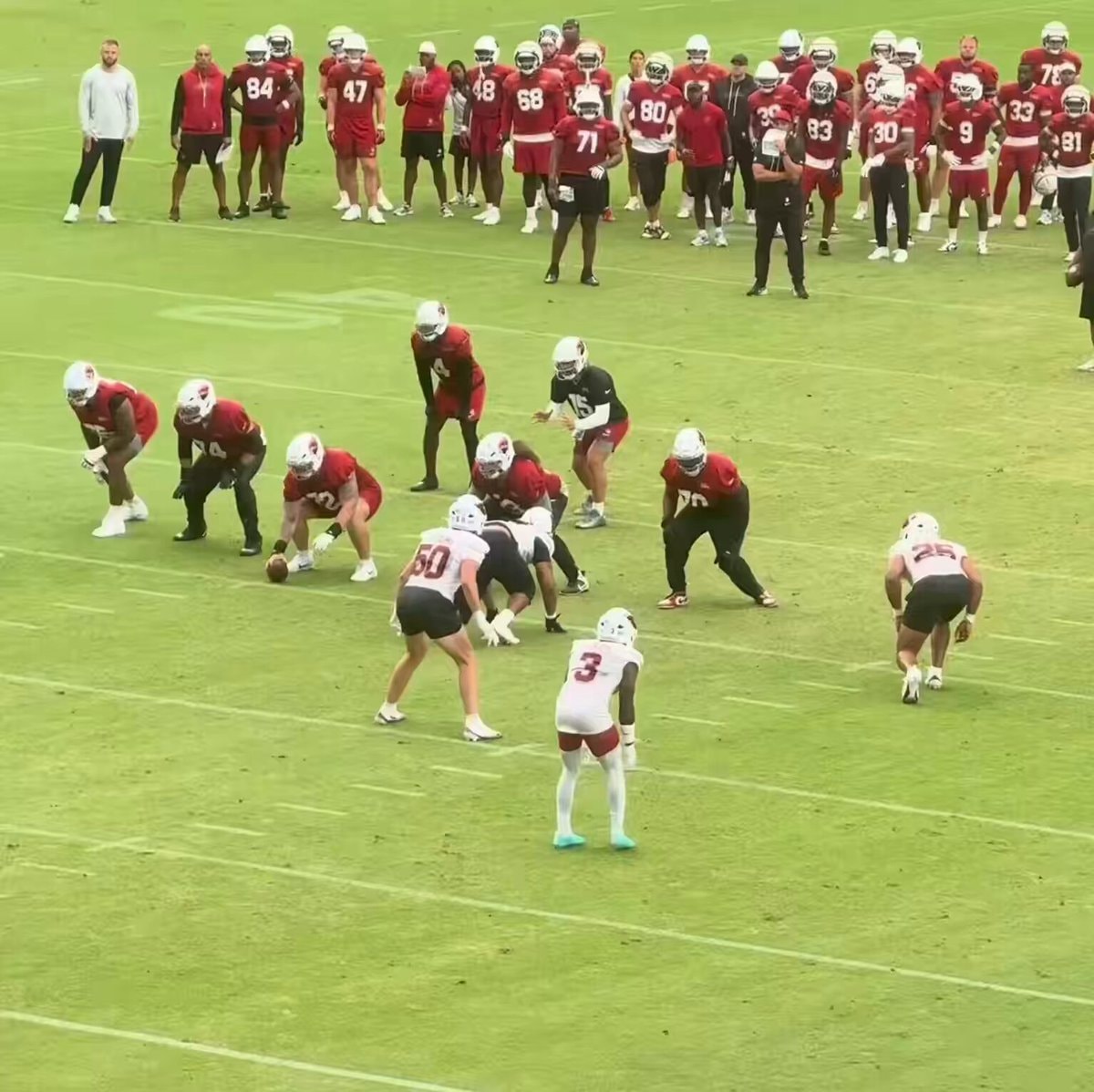 Arizona Cardinals 0-17 season